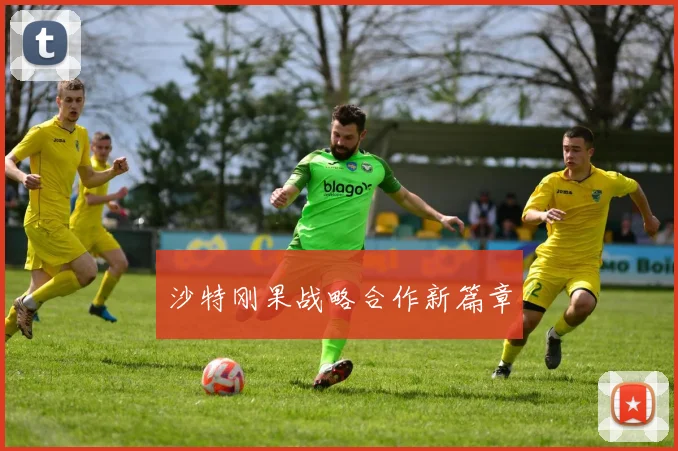 沙特刚果战略合作新篇章