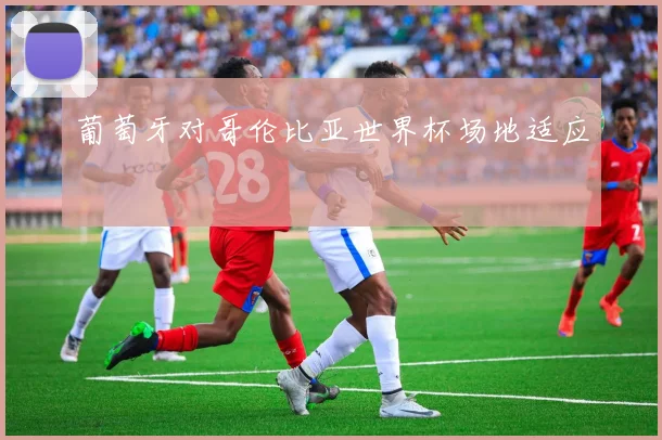 葡萄牙对哥伦比亚世界杯场地适应