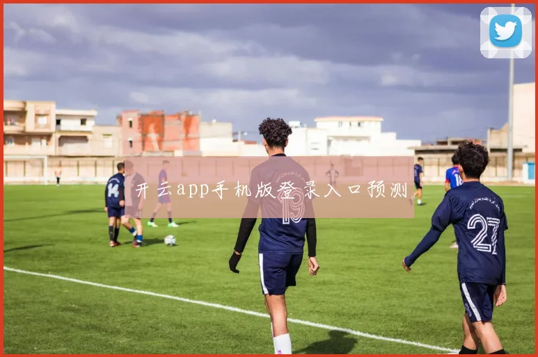 开云app手机版登录入口预测