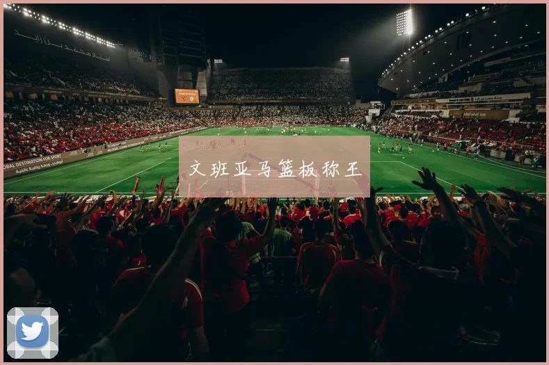 文班亚马篮板称王