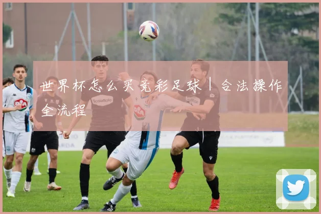 世界杯怎么买竞彩足球｜合法操作全流程