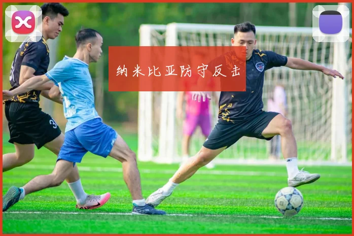 纳米比亚防守反击