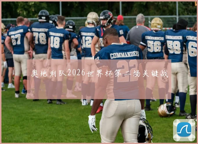 奥地利队2026世界杯第二场关键战