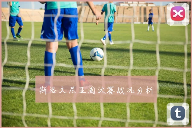 斯洛文尼亚淘汰赛战况分析