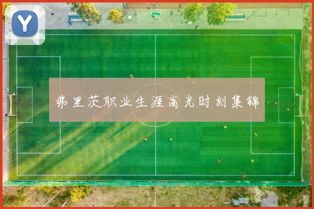 弗里茨职业生涯高光时刻集锦