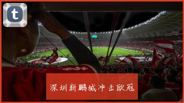深圳新鹏城冲击欧冠