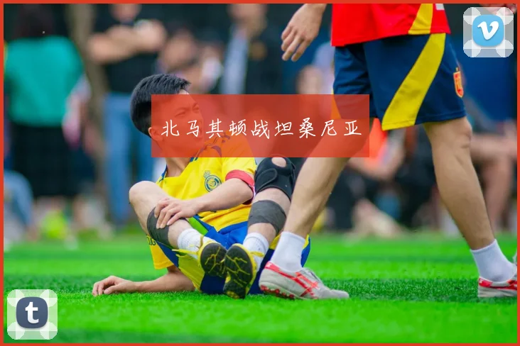 北马其顿战坦桑尼亚