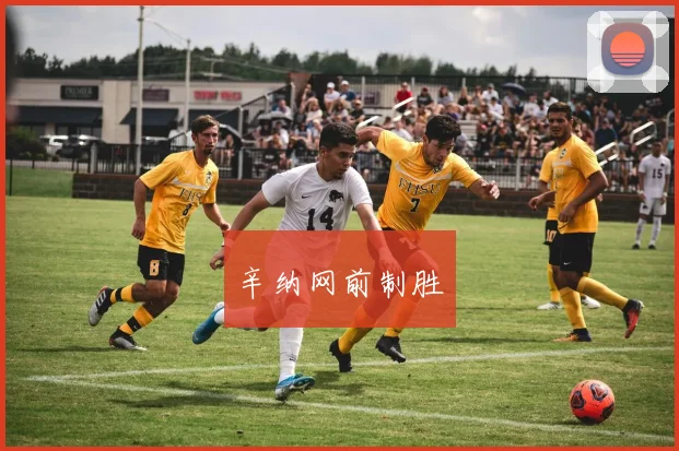 辛纳网前制胜