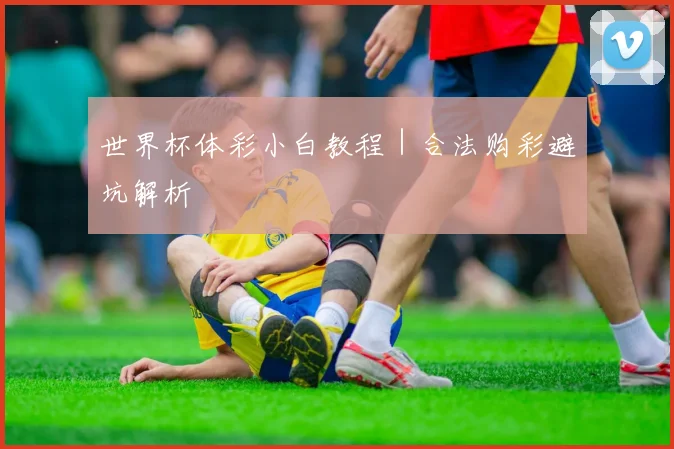 世界杯体彩小白教程｜合法购彩避坑解析