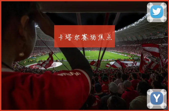 卡塔尔赛场焦点
