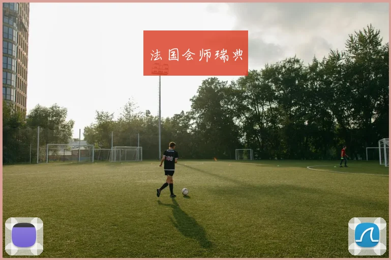 法国会师瑞典