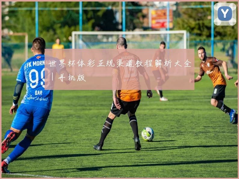 世界杯体彩正规渠道教程解析大全｜手机版