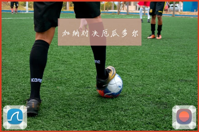 加纳对决厄瓜多尔