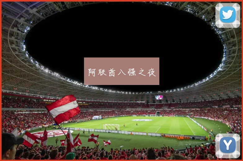 阿联酋八强之夜