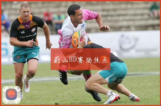蔚山HD赛场焦点