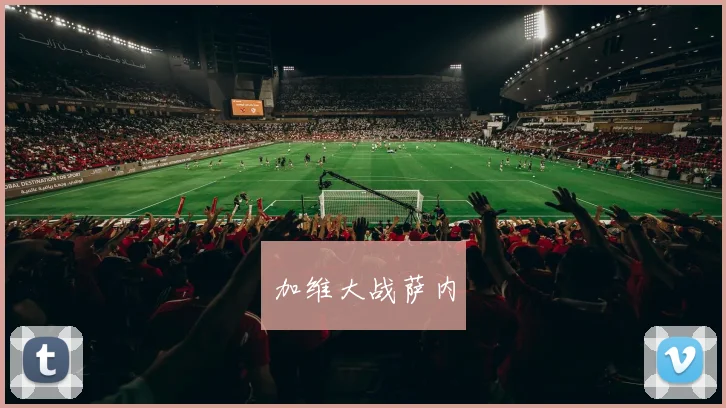加维大战萨内