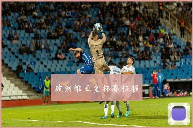 玻利维亚金杯赛征程
