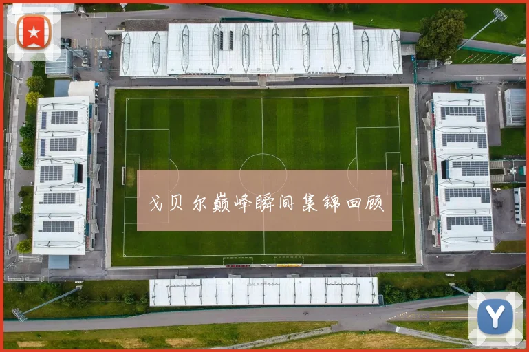 戈贝尔巅峰瞬间集锦回顾