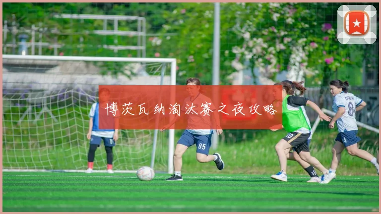 博茨瓦纳淘汰赛之夜攻略