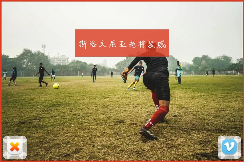 斯洛文尼亚老将发威