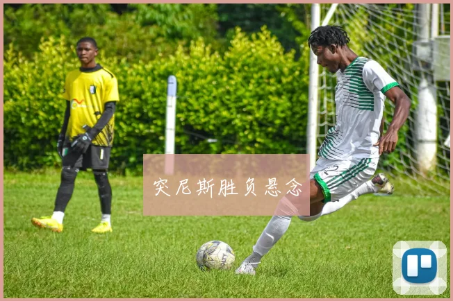 突尼斯胜负悬念