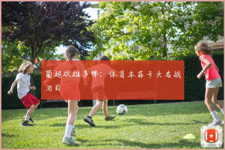 葡超双雄争锋：体育本菲卡头名战泪目