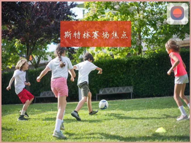 斯特林赛场焦点