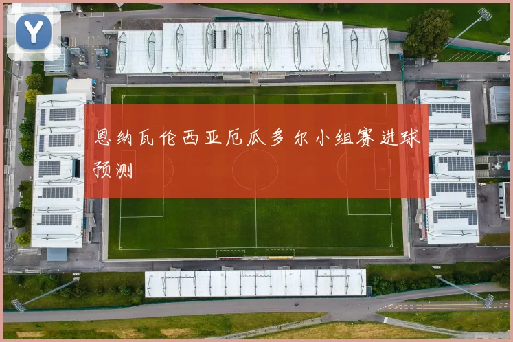 恩纳瓦伦西亚厄瓜多尔小组赛进球预测