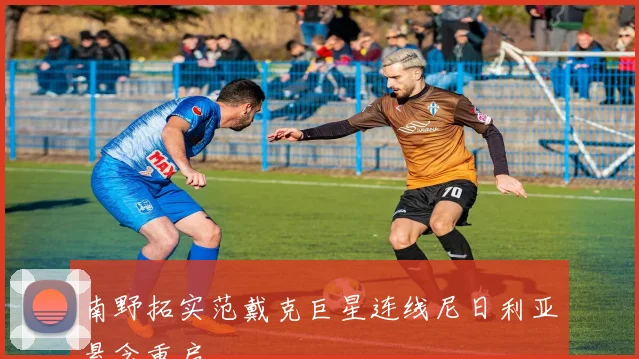 南野拓实范戴克巨星连线尼日利亚悬念重启