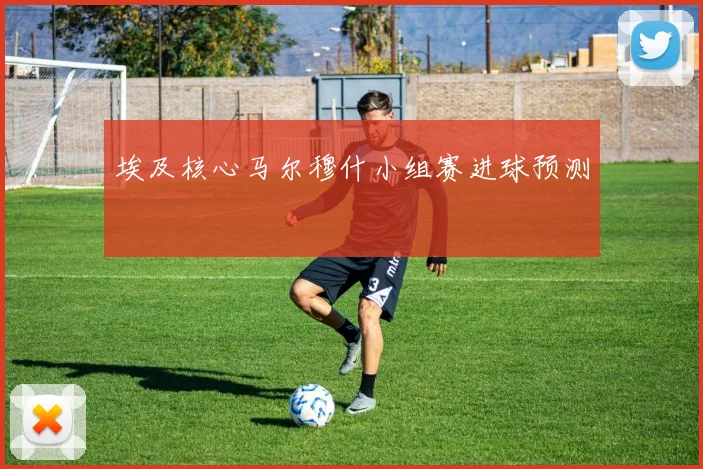 埃及核心马尔穆什小组赛进球预测