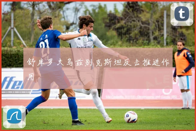 舒库罗夫乌兹别克斯坦反击推进作用