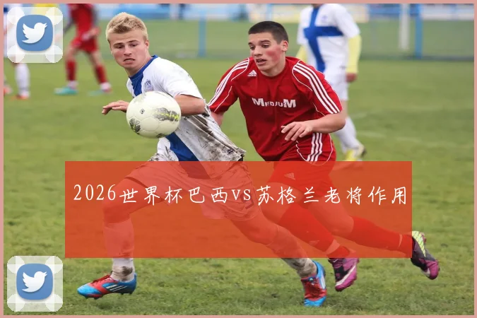 2026世界杯巴西vs苏格兰老将作用