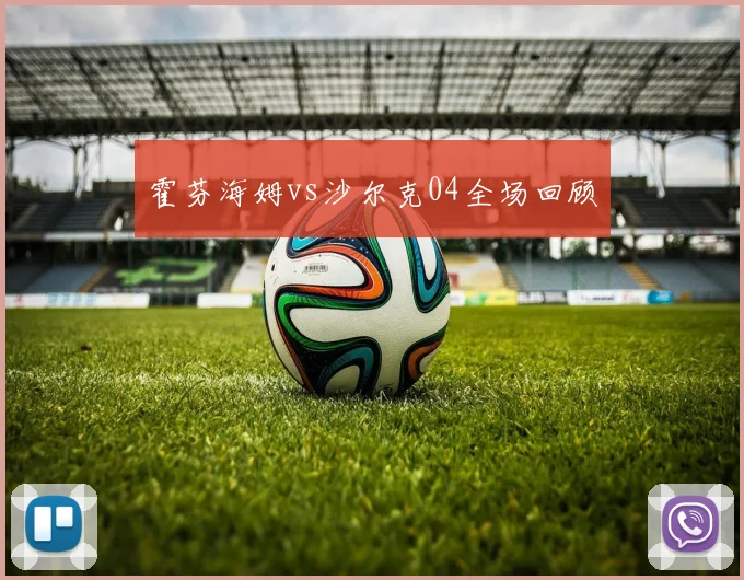 霍芬海姆vs沙尔克04全场回顾